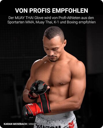 Боксерські рукавички Phantom Apex | Професійні рукавички для спарингу, бою, боксу, фріфайту (Raider - Чорний/Червоний, L-XL)