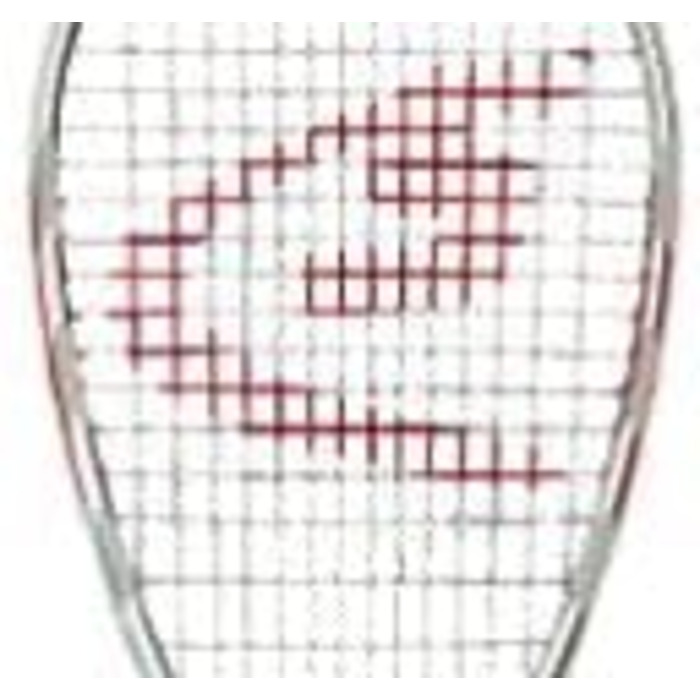 Speedminton S400 Pro Set: Набір для кросмінтону з карбоновими ракетками та 5 воланами, поле, сумка