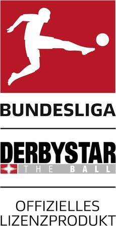 Футбольний м'яч Derbystar Bundesliga Player Special розмір 6